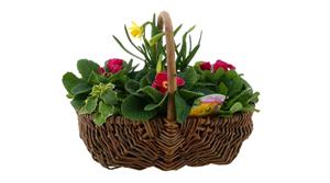 Mothers Day